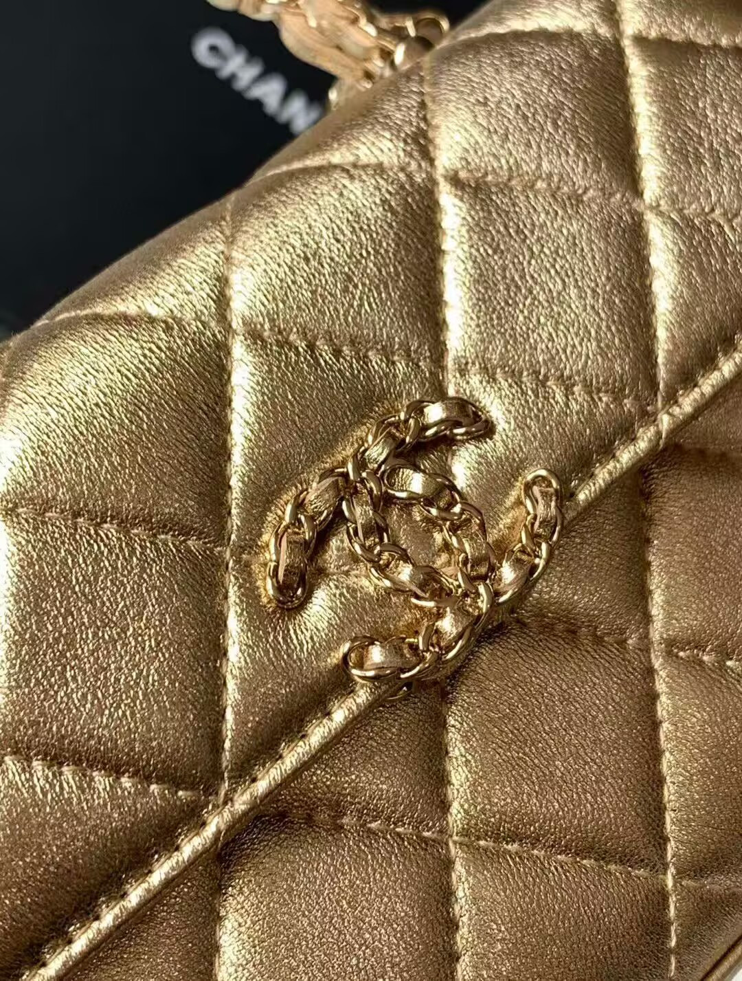 Ch*el kelly 23p 19x10x4.5cm