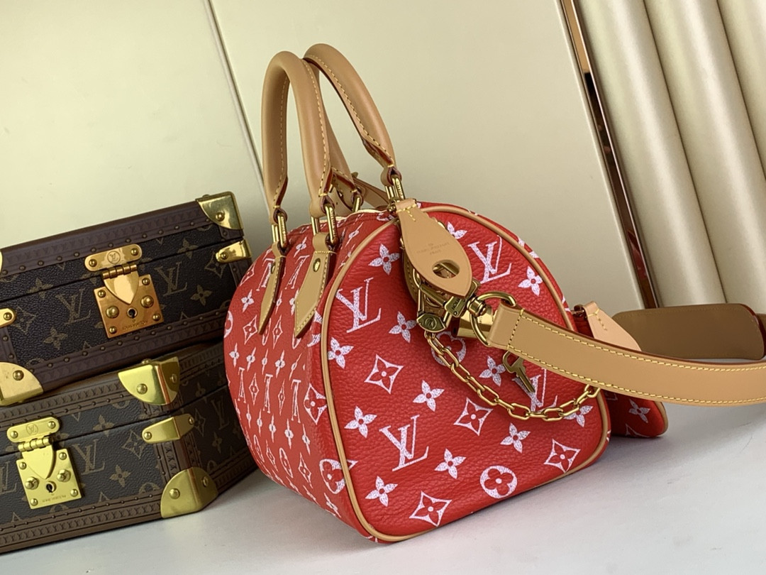 LV SPEEDY BANDOULIÈRE25 M24425